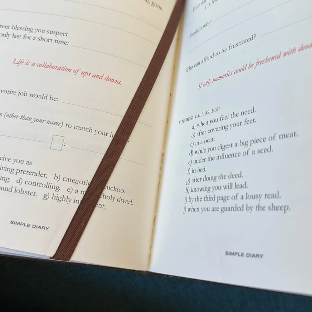 NEW Keel’s Simple Diary Volume One in Brown